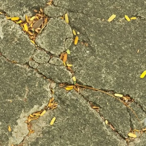 tip-article-image-Ostatni moment na zabezpieczenie elementów budowlanych przed zimą – zrób to dobrze!